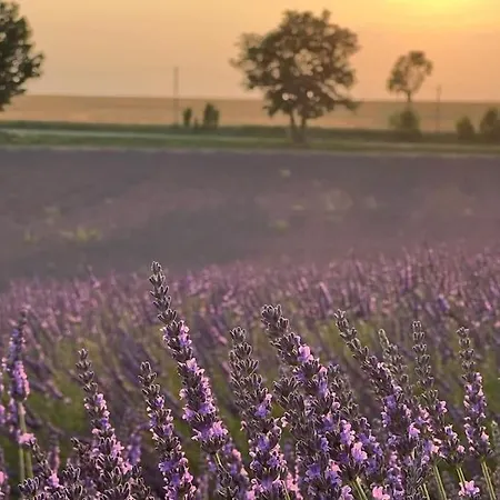 Zofia - Avec Cour Privee #1 Moustiers-Sainte-Marie