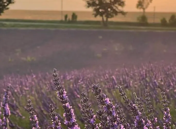 Zofia - Avec Cour Privee #1 Moustiers-Sainte-Marie